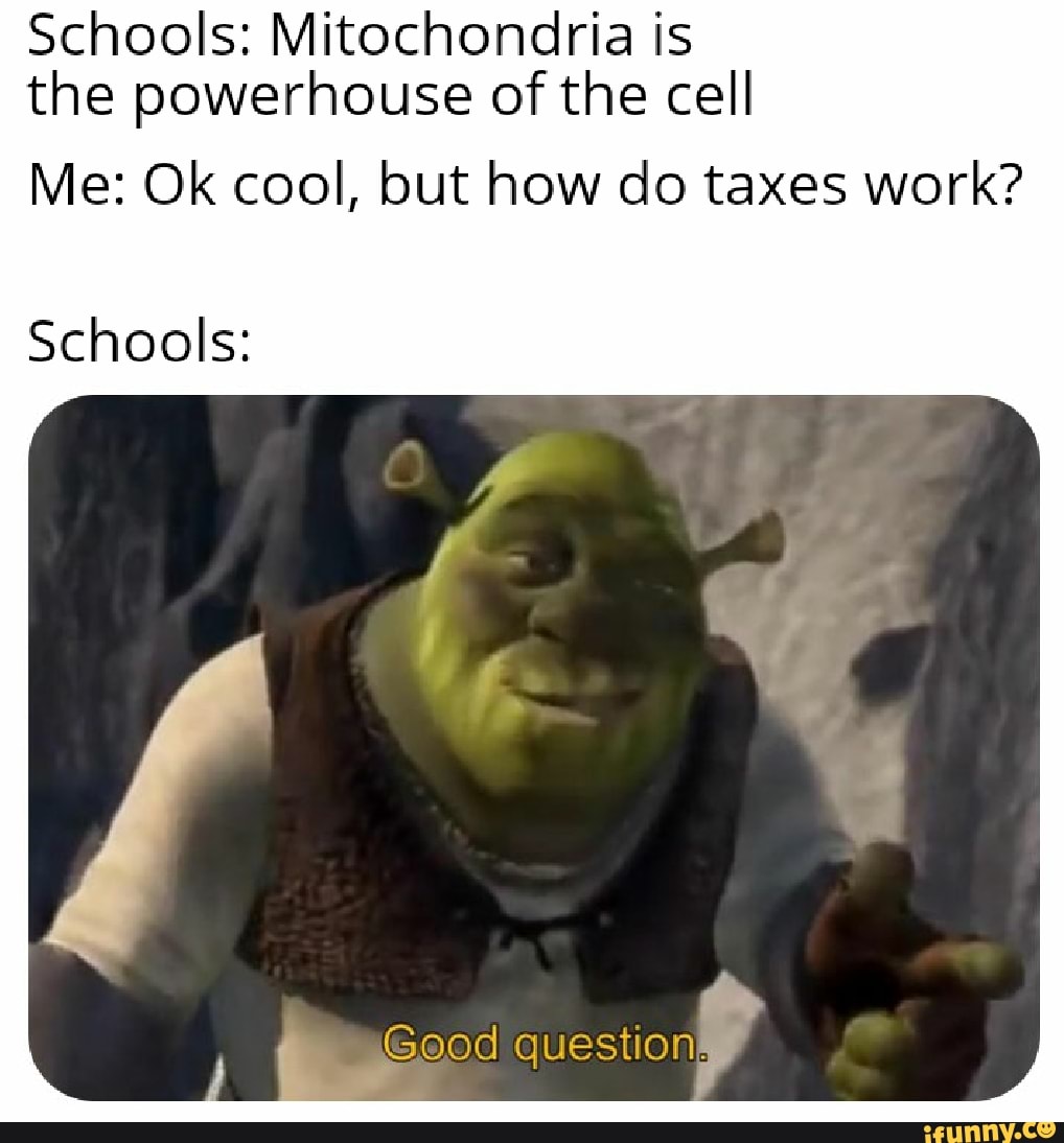 Schools: Mitochondria is
the powerhouse of the cell
Me: Ok cool, but how do taxes work?
Schools: