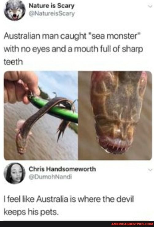 & is Scary Australian man caught "sea monster" with eyes and a full of sharp teeth Chris Handsomeworth feel like Australia is where the devil keeps his pets. -