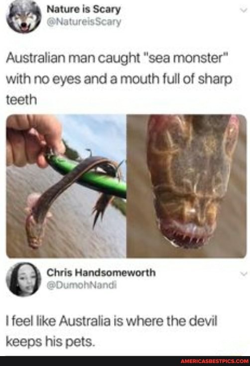 & Nature is Scary
Australian man caught "sea monster" with no eyes and a mouth full of sharp teeth
Chris Handsomeworth feel like Australia is where the devil keeps his pets.