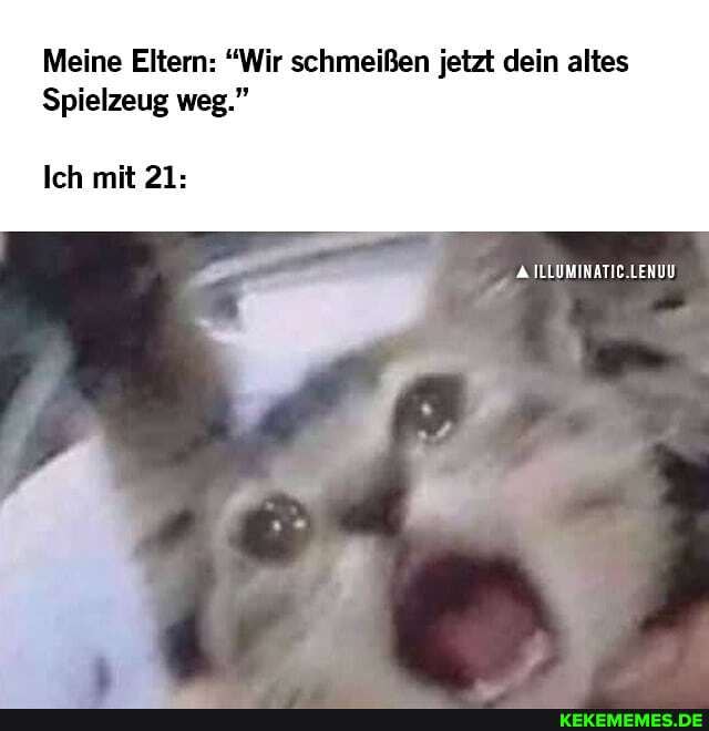 Meine Eltern: "Wir schmeißen jetzt dein altes
Spielzeug weg."
ILLUMINATIC.LENUD
Ich mit Als