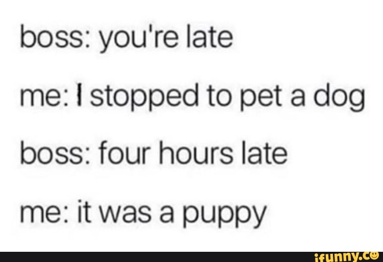 boss: you're late me: stopped to pet a dog boss: four hours late
me: it was a puppy