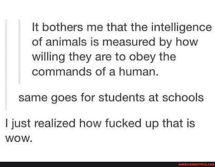 It bothers me that the intelligence of animals is measured by how willing they are to obey the commands of a human.
same goes for students at schools
I just realized how fucked up that is wow.