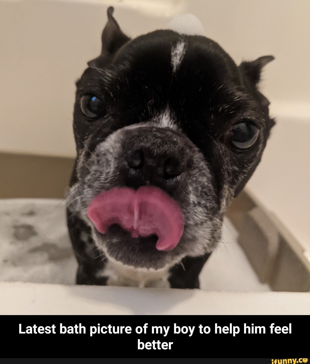 Latest bath picture of my boy to help him feel better - Latest bath picture of my boy to help him feel better