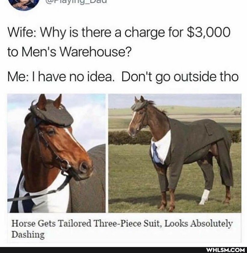 Wife: Why is there a charge for $3,000 to Men's Warehouse?
Me: I have no idea. Don't go outside tho
Horse Gets Tailored Three-Piece Suit. Looks Absolutely
Dashing