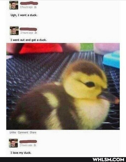 Ugh, I want duck.
went out end got duck.
love my duck.