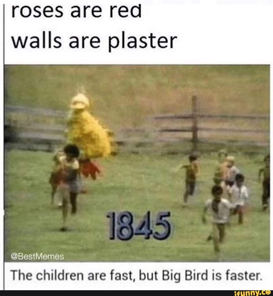 Roses are red walls are plaster BestMemes The children are fast, but