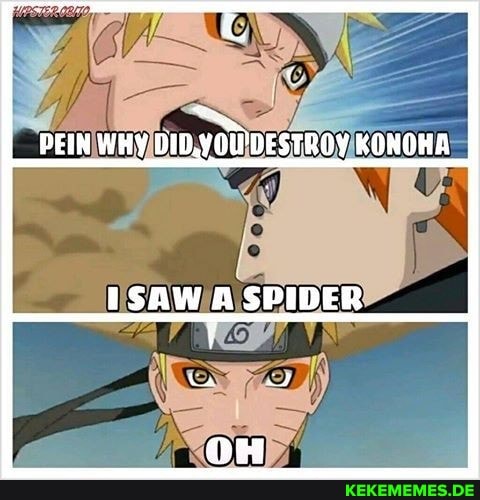 PEIN WHY DID.YOUDESTROY KONOHA SAW A SPIDER