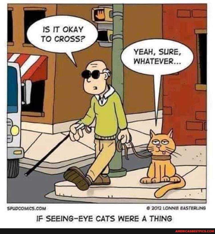 IS IT OKAY TO CROSS?
YEAH, SURE,
WHATEVER...
2092 LONNIE EASTERLING
IF SEEING-EYE CATS WERE A THING