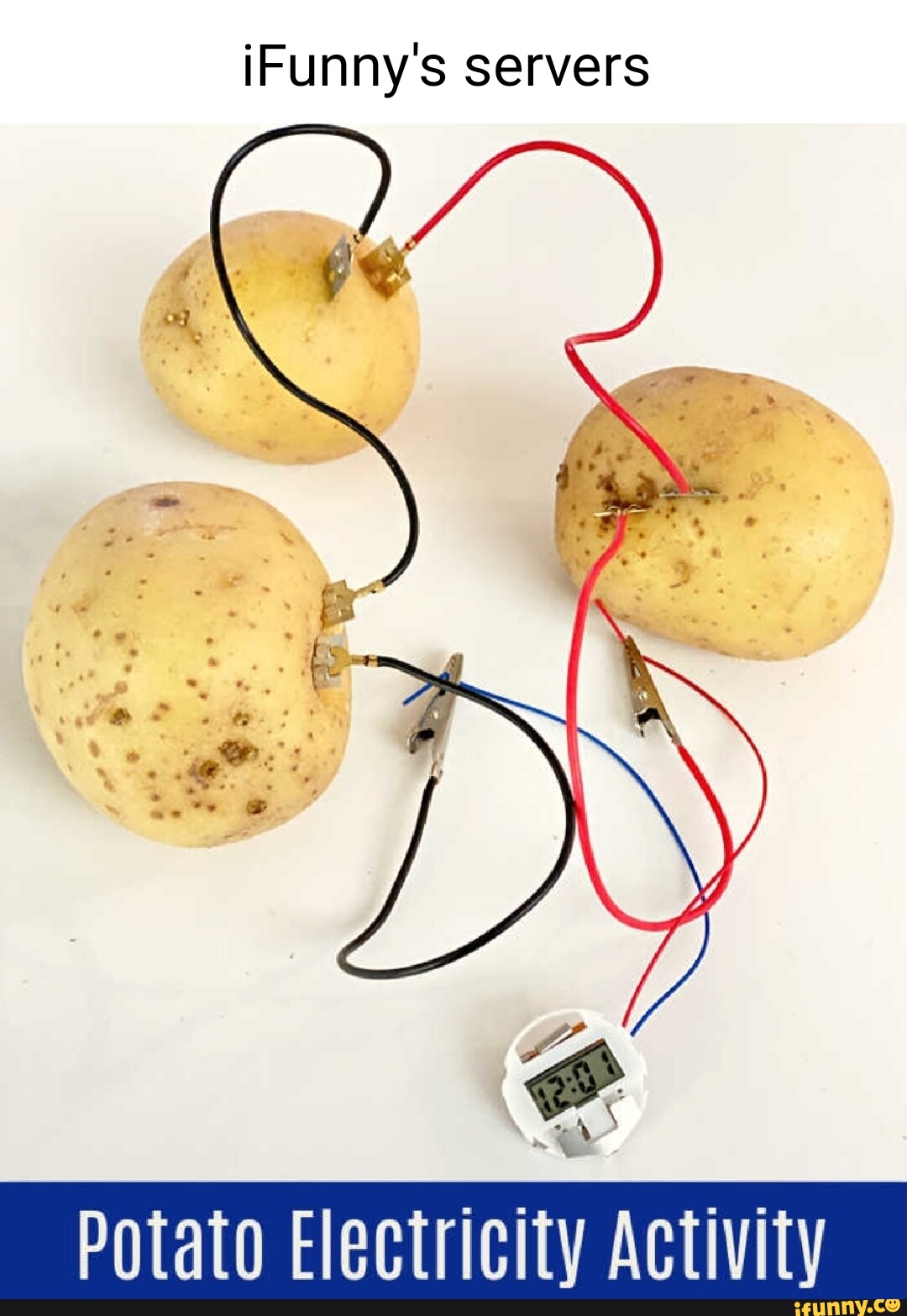 Server Potatoes IFunny's servers Potato Electricity Activity - iFunny
