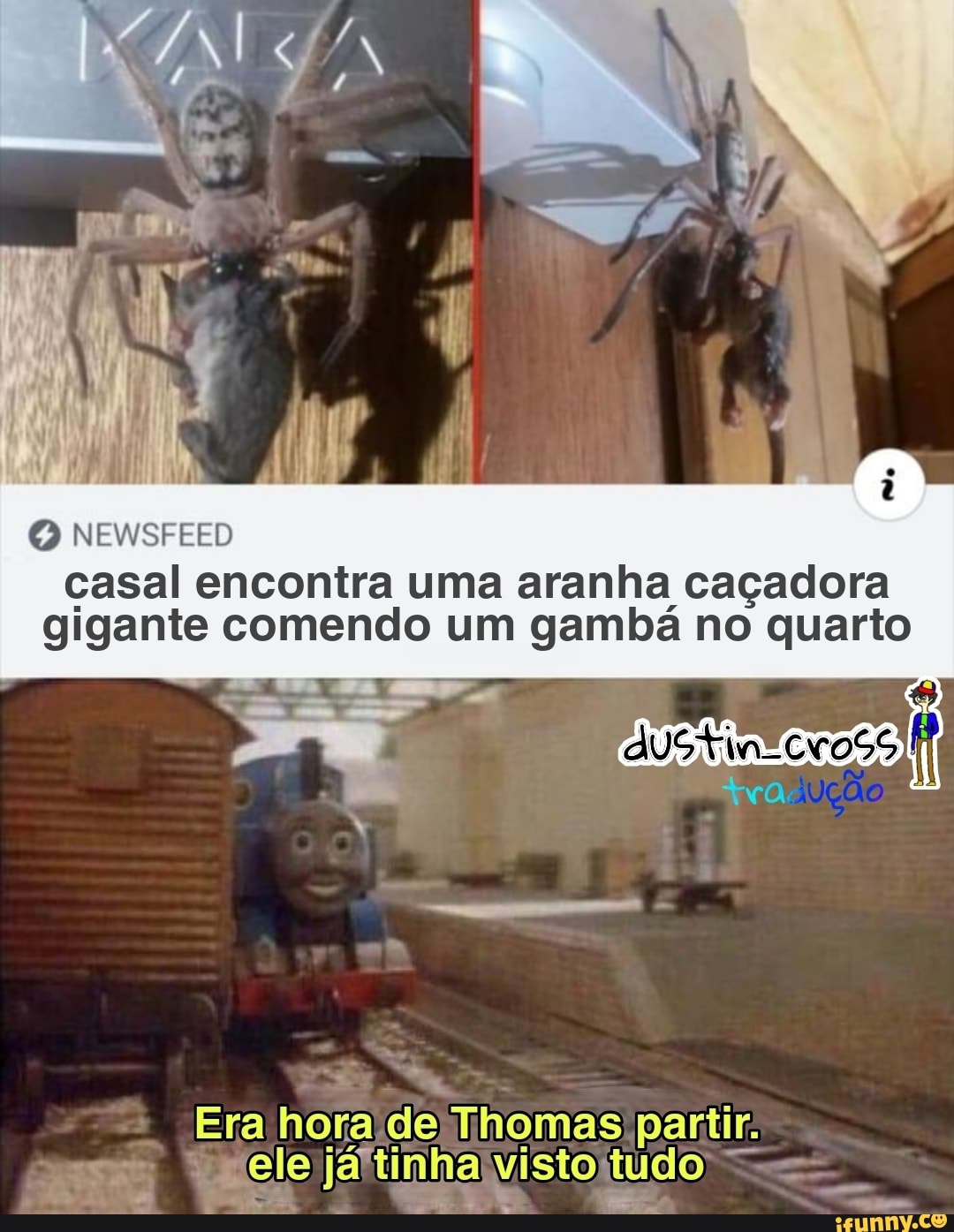 O NEWSFEED
casal encontra uma aranha caçadora gigante comendo um gambá no quarto
Era rele ora de Thomas se; wgele já'tinha vistotudo