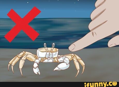 crab, crabs, crabclan, xxxtentacion, feature, cappin