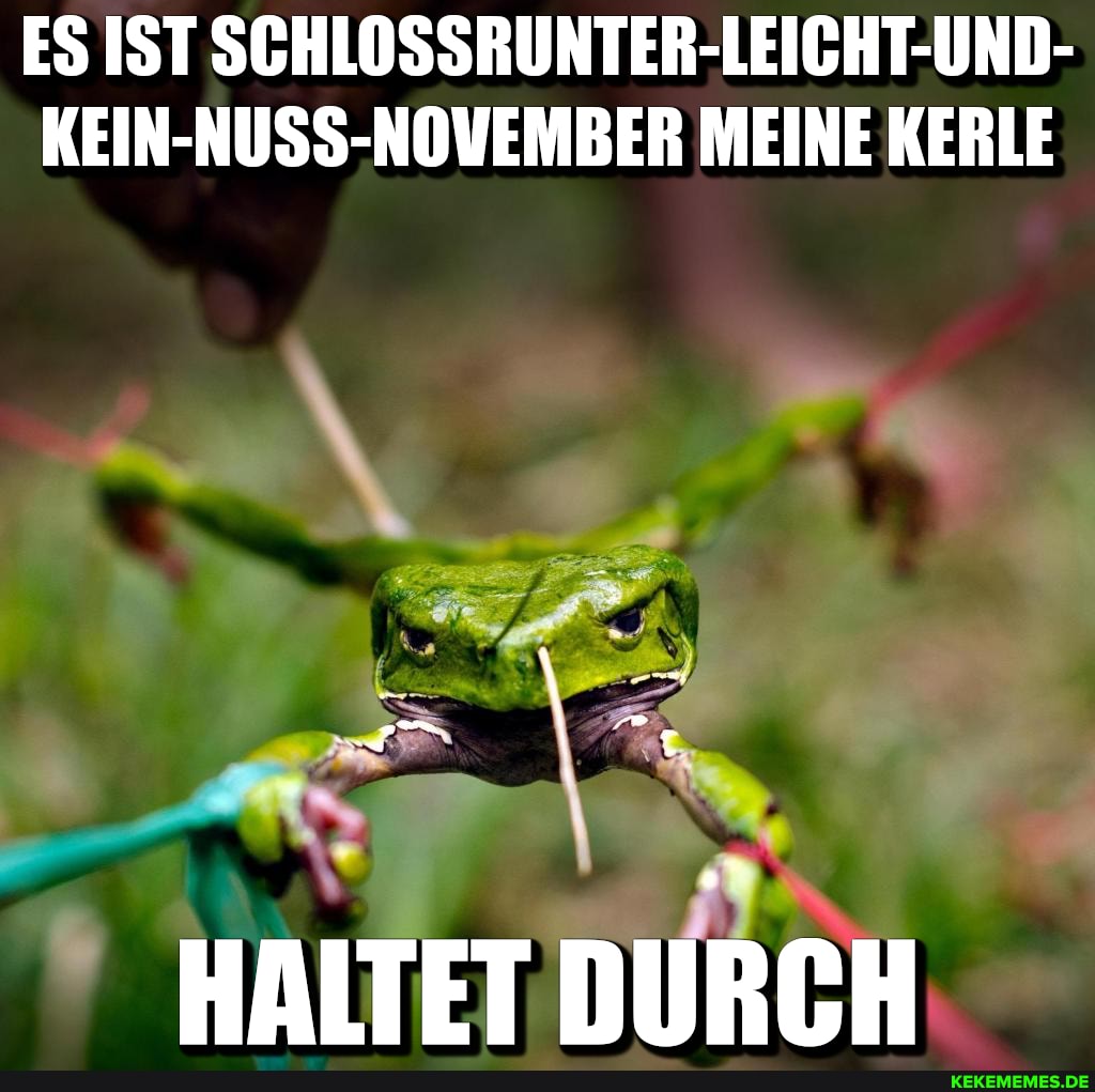 ES IST SCHLOSSRUNTER-LEICHT-UND-
KEIN-NUSS-NOVEMBER MEINE KERLE
HAITET DURCH