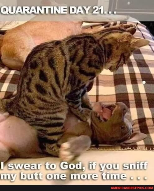 QUARANTINE DAY 21...
swear to God, if you sniff hitt one mora timo