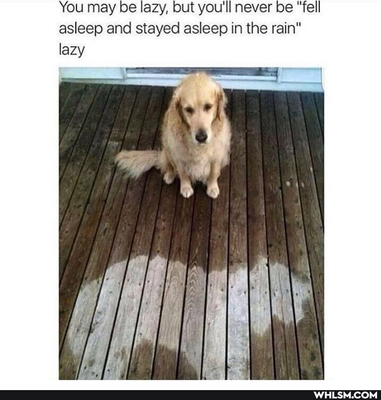 You may be lazy, but you'll never be "fell asleep and stayed asleep in the rain" lazy