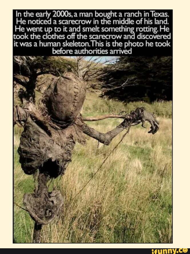 In the early 2000s, a man bought a ranch in Texas.
He noticed a scarecrow in the middle of his land.
He went up to it and smelt something rotting. He took the clothes off the scarecrow an
discovered it was a skeleton. human This is the photo he took
fore auth