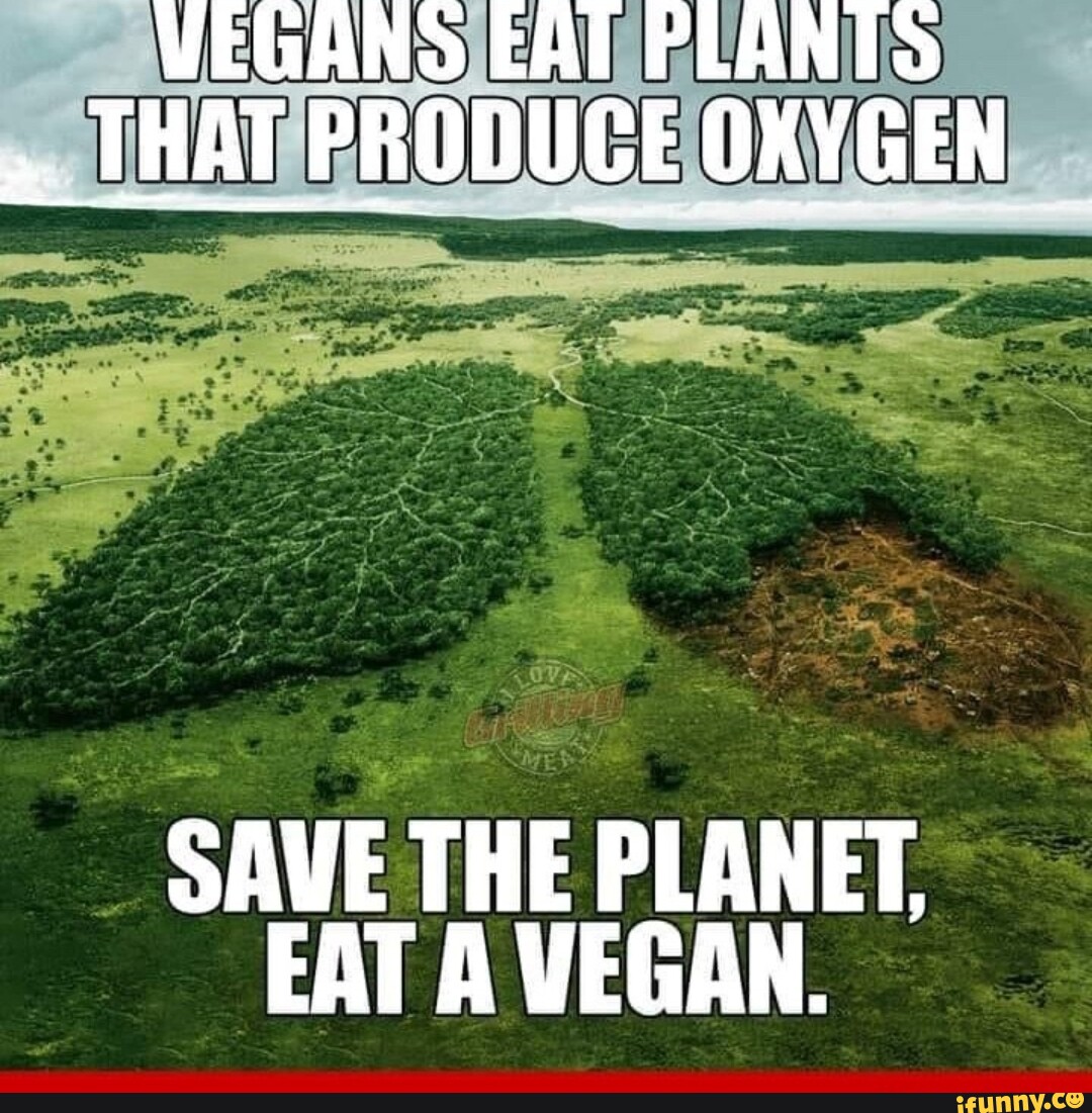 VEGANS EAT PLANTS THAT PRODUCE OKYGEN SAVE THE EAT A VEGAN. seo.title