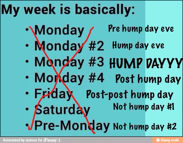 My week is basically:
Pre hump day eve
Monday #4 Post hump day
Post-post hump day
Not hump day #1
*"JPre-Monday Not hump day 42