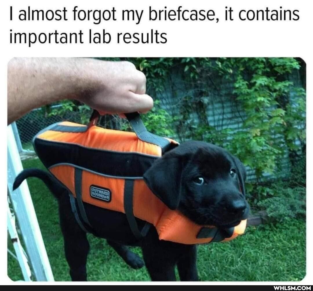 I almost forgot my briefcase, it contains important lab results