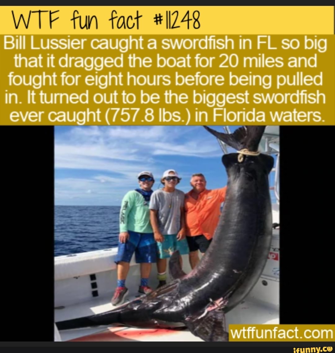 Swordfish memes. Best Collection of funny Swordfish pictures on iFunny