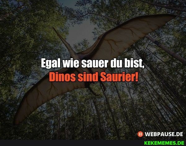 Egal wie sauer du bist,
Dinos sind Saurier!
WEBPAUSE.DE