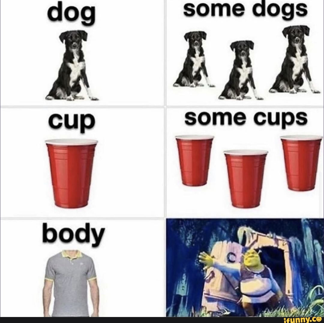 dog
SOME Clogs
SOME