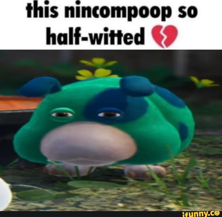 Nincompoop memes. Best Collection of funny Nincompoop pictures on iFunny