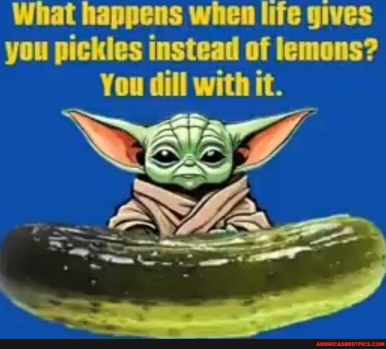 What happens when life gives you pickles instead of lemons? You dill with it. America’s best