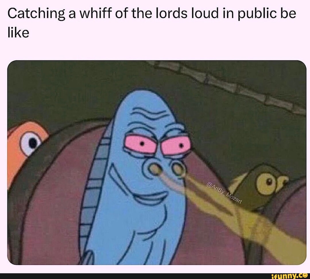 Catching a whiff of the lords loud in public be like - iFunny