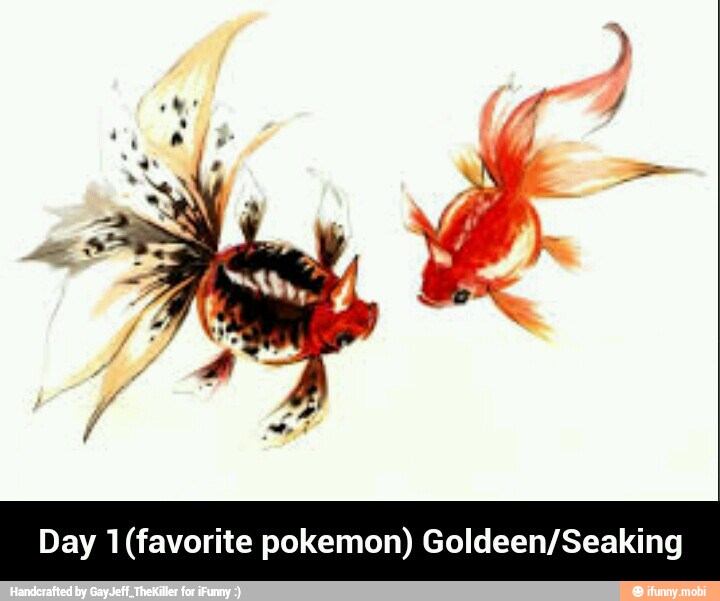 Day 1(favorite pokemon) Goldeen/Seaking - Day 1(favorite pokemon) Goldeen/Seaking