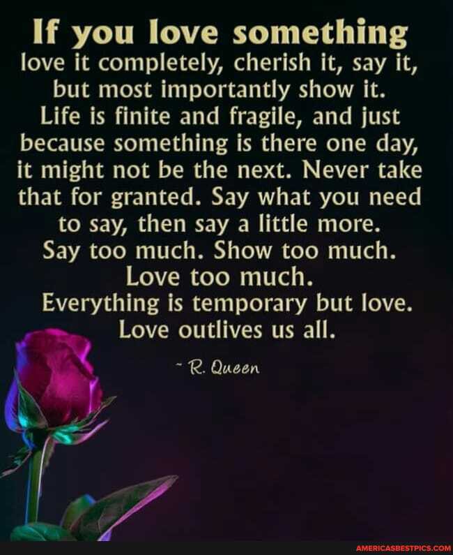 If you love something love it completely, cherish it, say it, but most importantly show it.
Life is finite and fragile, and just because something is there one day, it might not be the next. Never take that for granted. Say what you need to say, then say a little more.
Say too much. Show too much.
Love too much.
Everything is temporary but love.
Love outlives us all.
R. Queen
