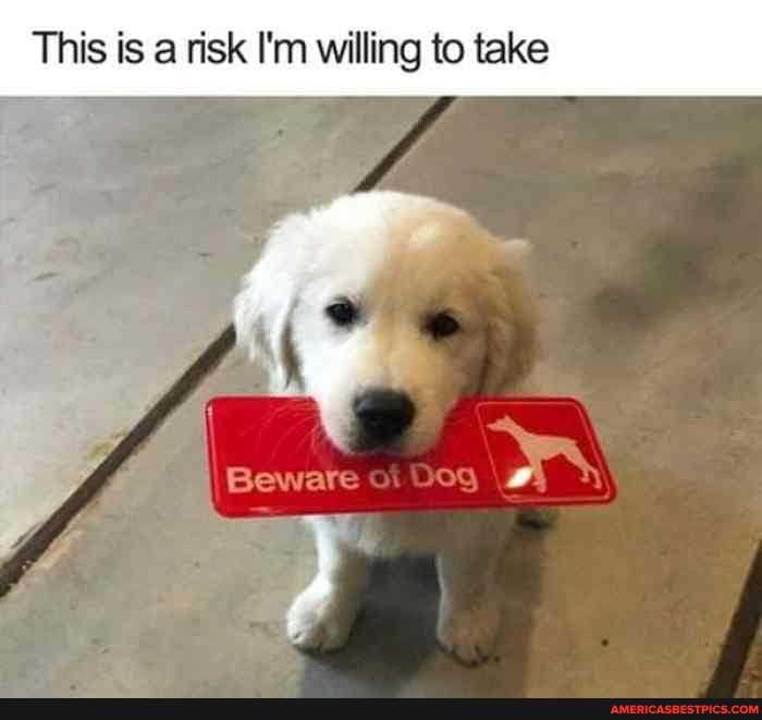 This is a risk I'm willing to take