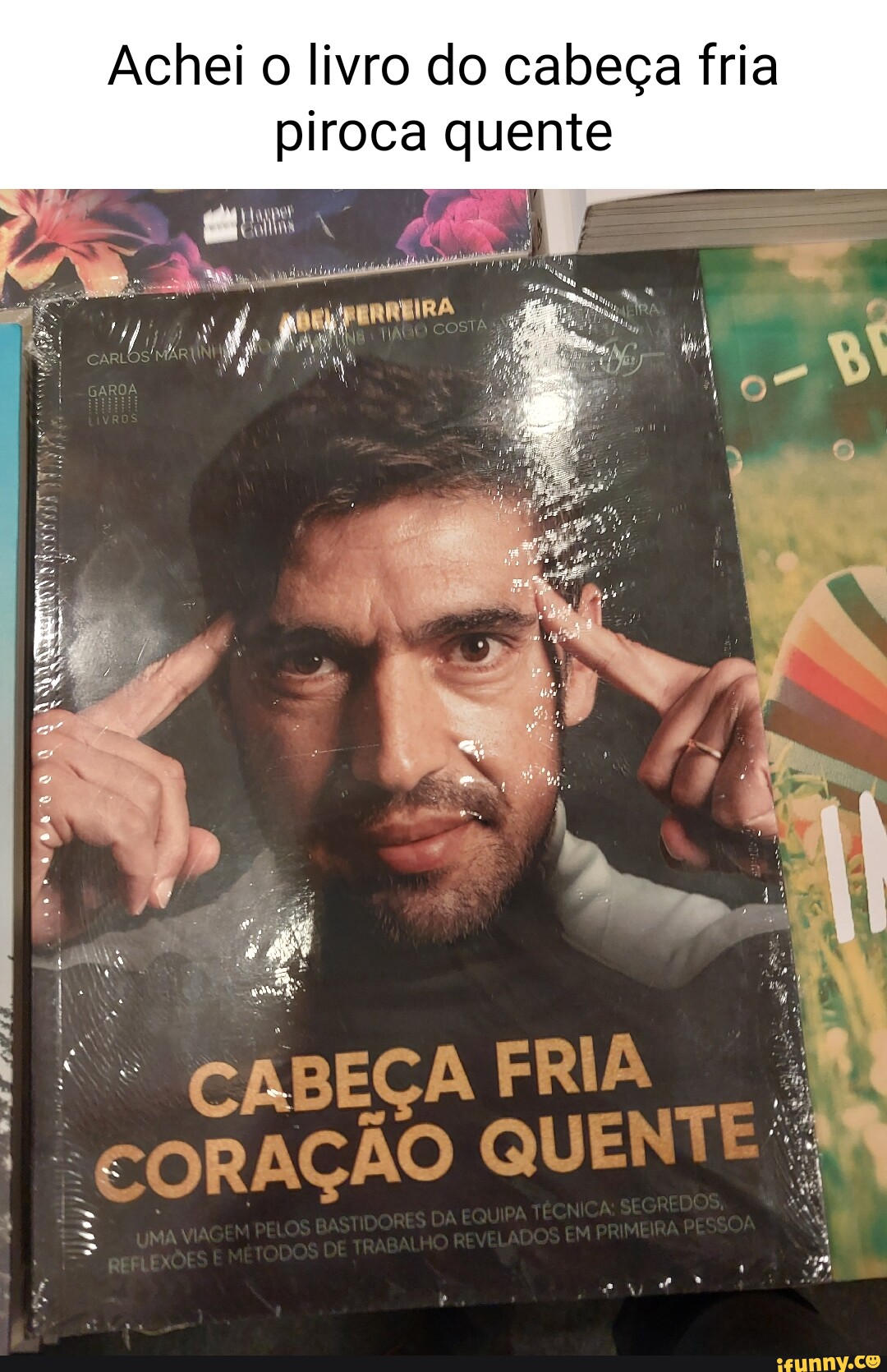 Achei o livro do cabeça fria piroca quente AR Es, Ze CABEÇA - iFunny Brazil