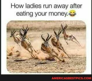 How ladies run away after eating your money.<>