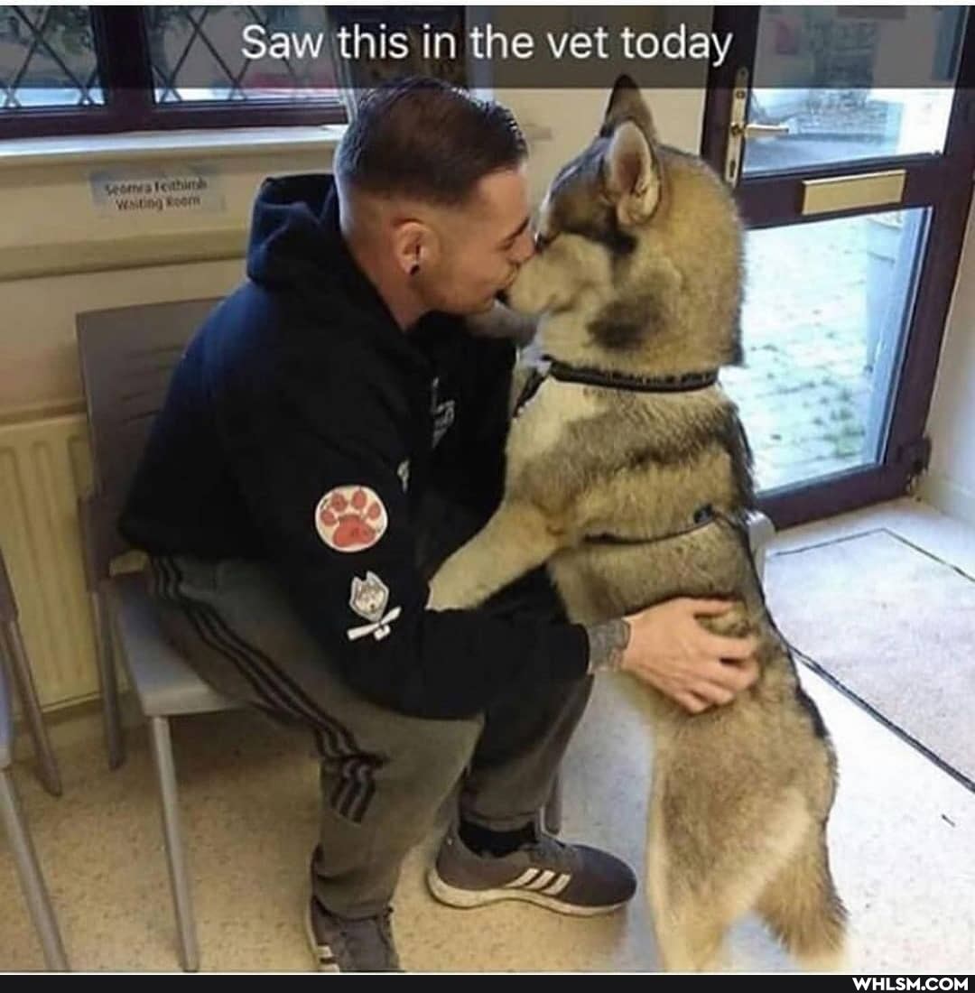 Saw this in the vet today I
GAS - /