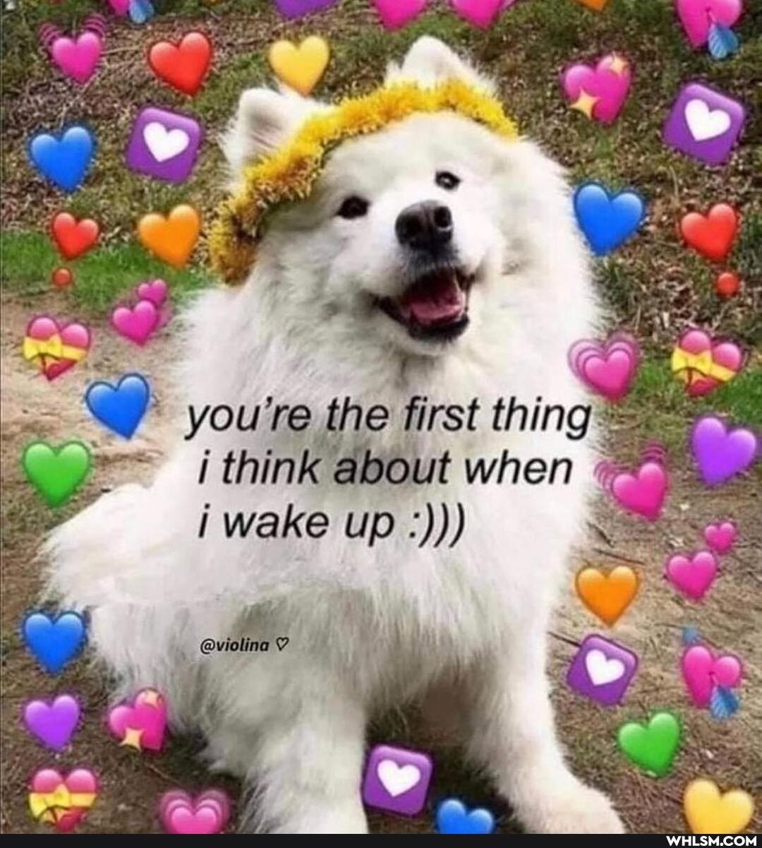 you're the first thing.- <
think about when i wake up
@vialing ~