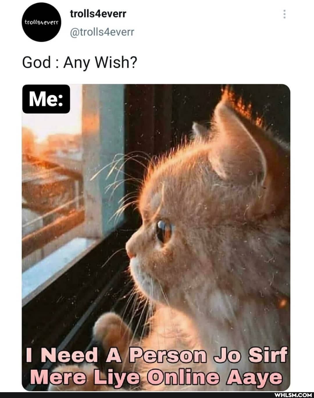 trollsdeverr every
@trolls4everr
God : Any Wish?
Need Person, Siri
Mere (Liiva Online
