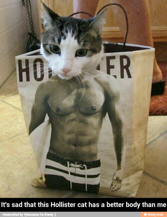 It's sad that this Hollister cat has a better body than me