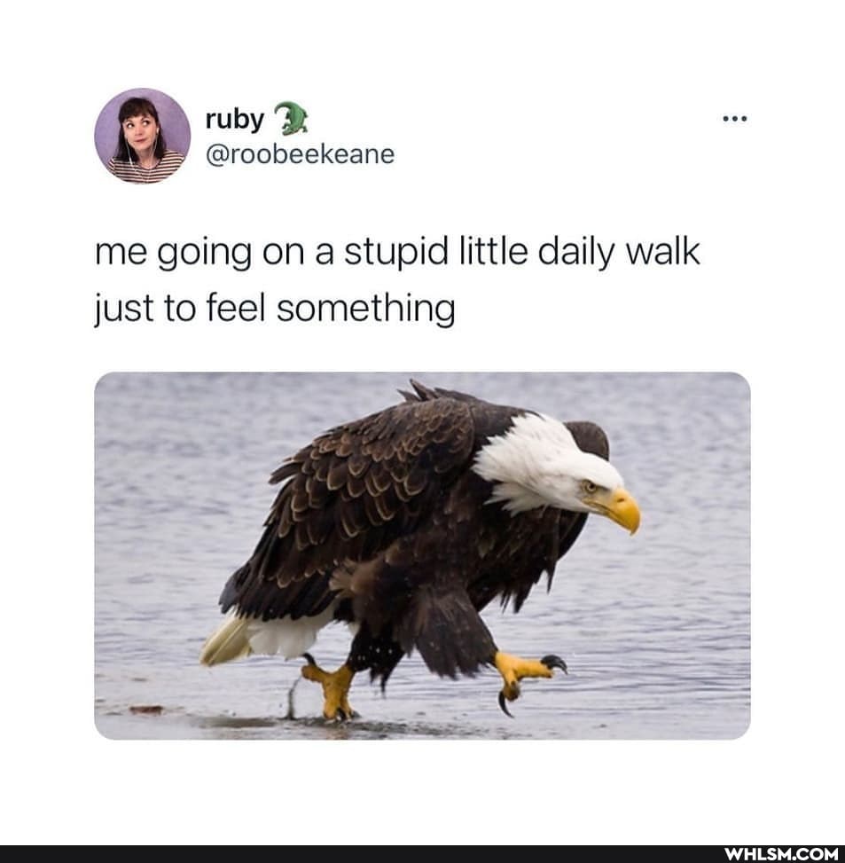 me going on a stupid little daily walk just to feel something