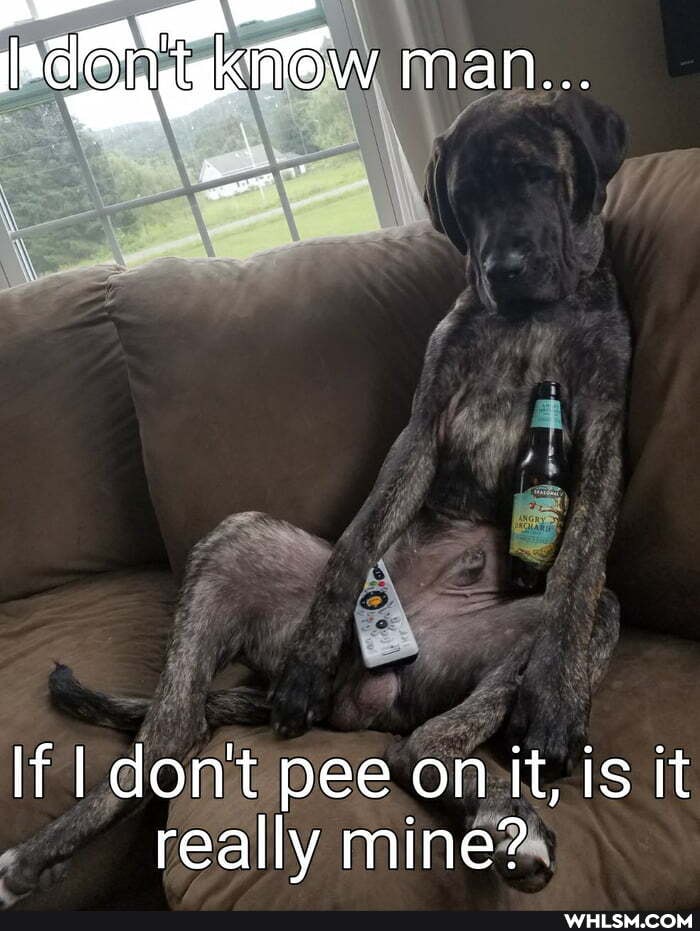 man...
If I don't pee on it, is it really mine?