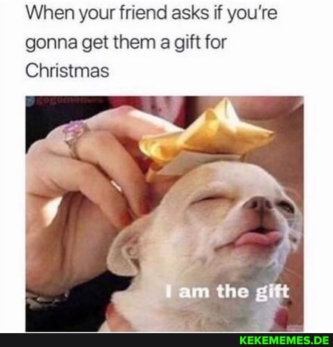 When your friend asks if you're gonna get them a gift for
Christmas
am the git