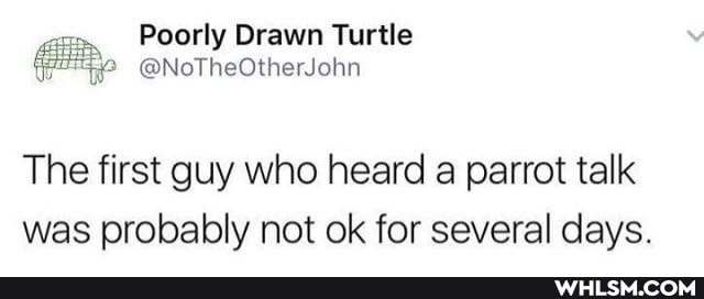 ant Poorly Orawn Turtle
@NoTheOtherJohn
The first guy who heard a parrot talk was probably not ok for several days.