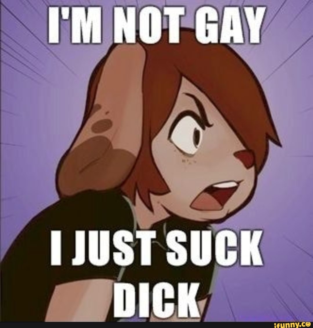 i love sucking dick but im not gay meme