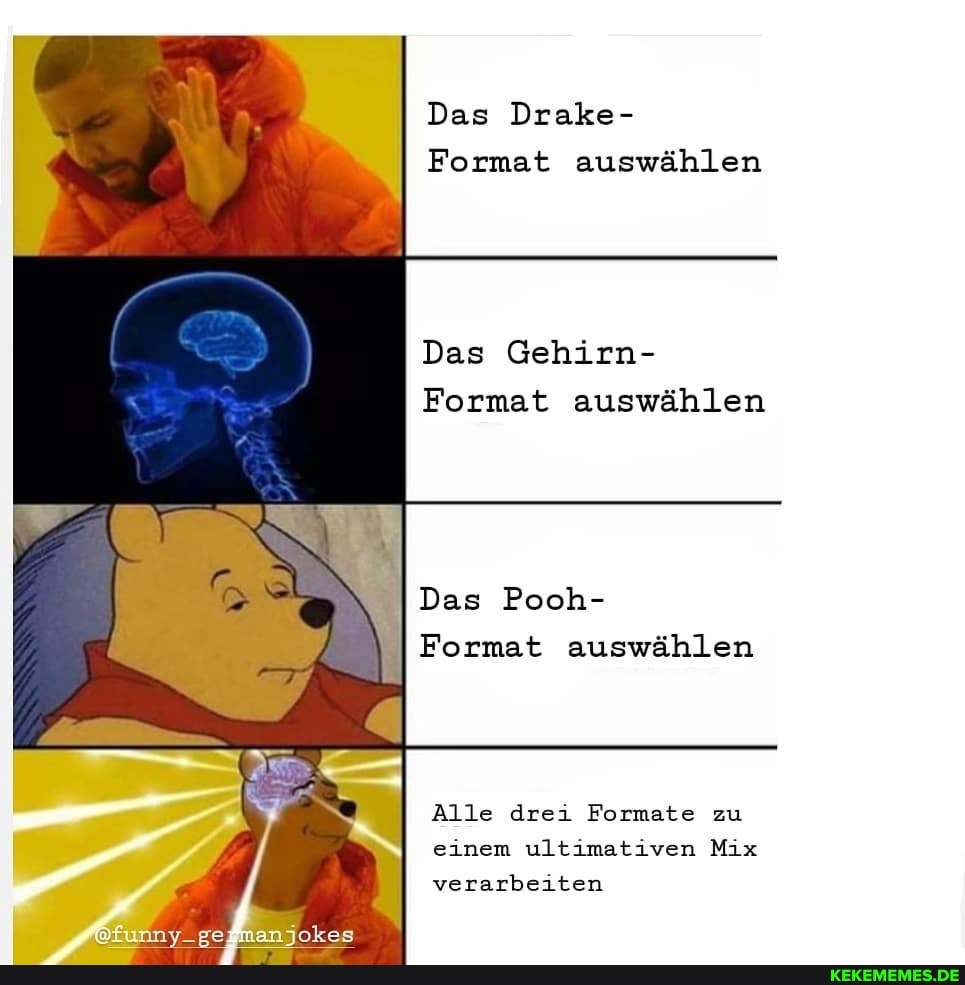 Das Drake-
Format auswählen
Das Gehirn-
Format auswählen
Das Pooh-
Format auswählen
Alle drei Formate zu einem ultimativen Mix verarbeiten