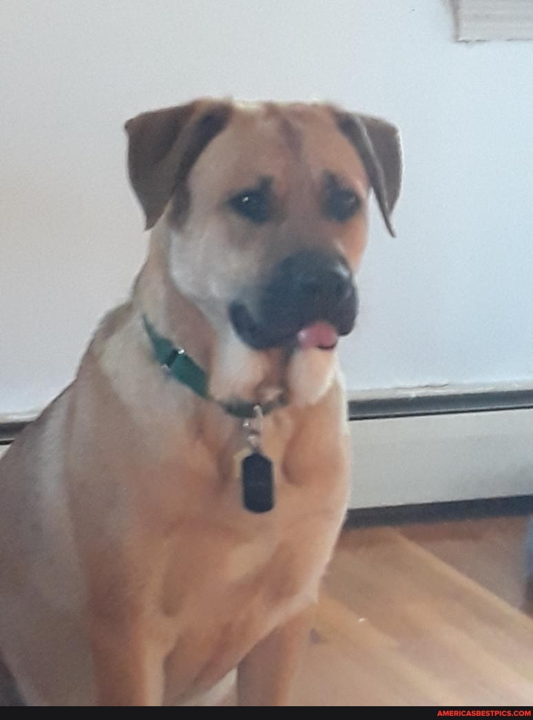 george, mocking