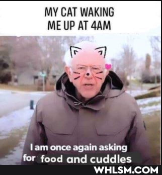 MY CAT WAKING ME UP AT
lam once again asking