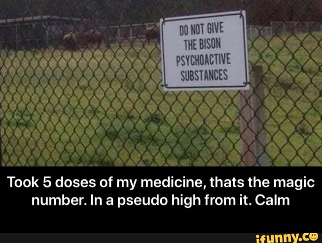 Took 5 doses of my medicine, thats the magic
number. In a pseudo high from it. Calm - Took 5 doses of my medicine, thats the magic number. In a pseudo high from it. Calm