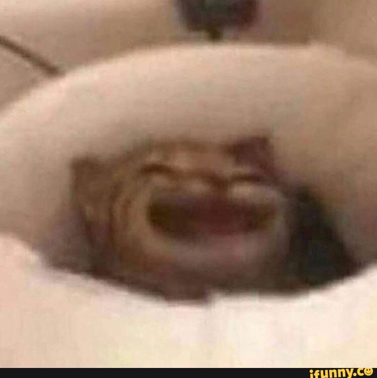 funny, cursed_images