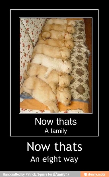 Now thats
A family
Now thats
An eight way - Now thats
An eight way