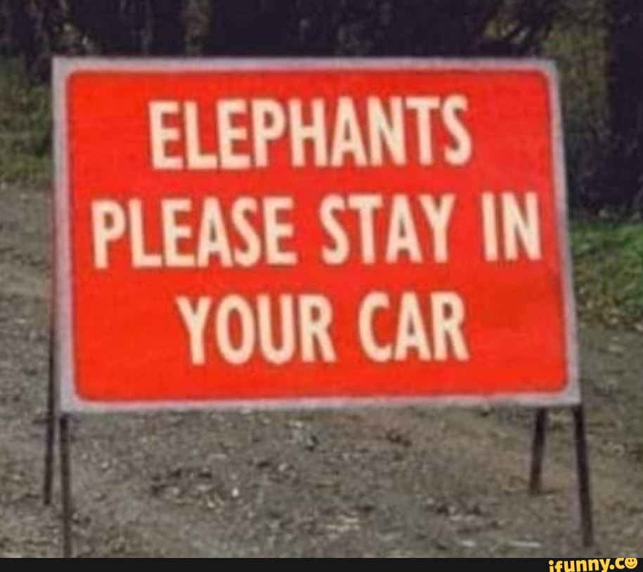 ELEPHANTS I PLEASE STAY IN'
YOUR CAR
