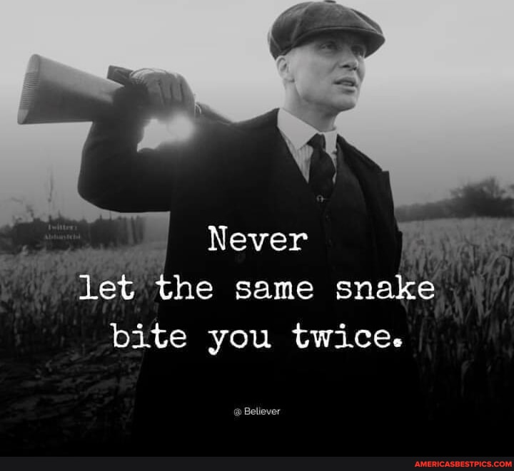 Never let the same snake bite you twice. @ Believer - America’s best ...